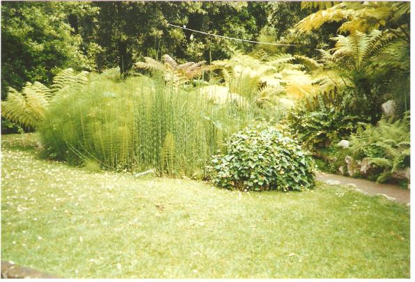 giardino botanico di napoli -12